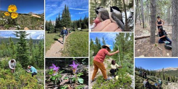 Scenes from the CU Mountain Research Station